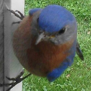 Meet your Posher, Tina